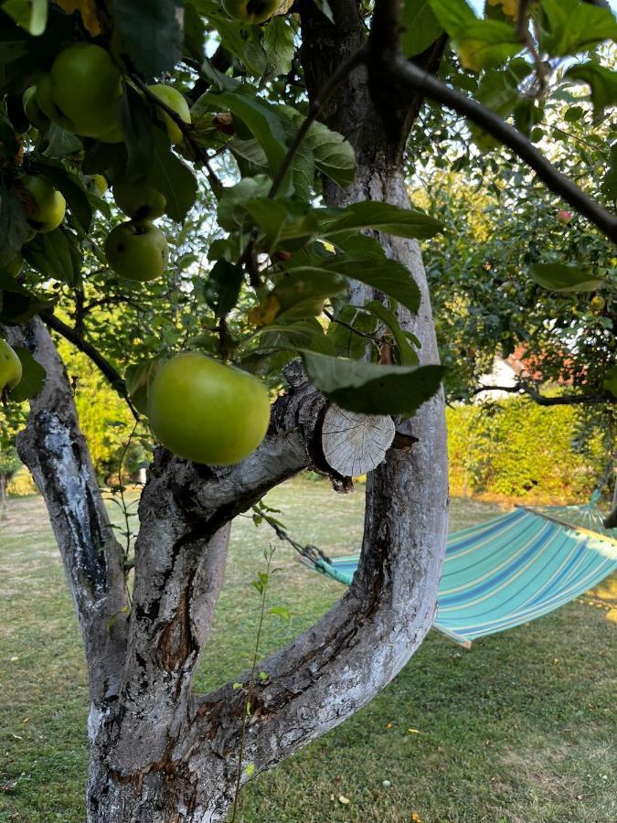 Holiday Home Amila Високо Экстерьер фото